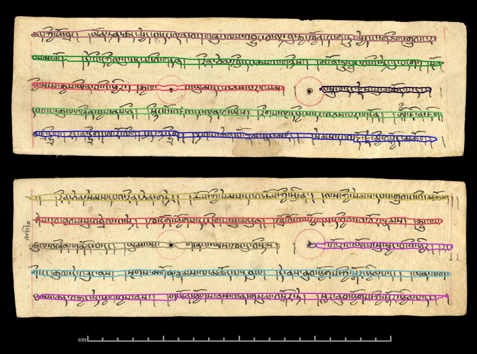 0-IOLTibJ331-Recto-4-0_lines_v2.jpg